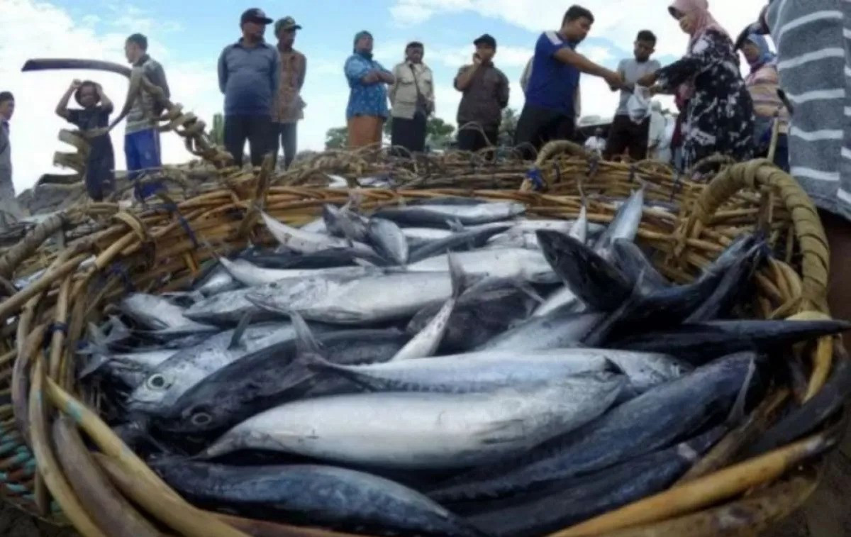 Semua Ikan Wajib Masuk TPI, Dinas Perikanan Bulungan Perketat Penertiban Bongkar Muat Nelayan